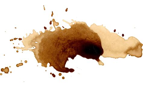 Fresh coffee stains on paper can be treated using white vinegar and cotton balls. For older stains, you can use a diluted bleach solution. After removing the stain you can use an iron on low heat to remove the wrinkles on your paper. Make sure to protect the paper by placing wax sheets underneath and on top of the paper when ironing.